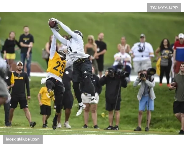 爱国者外接手迪格斯9次接球拿下105码成可靠进攻目标