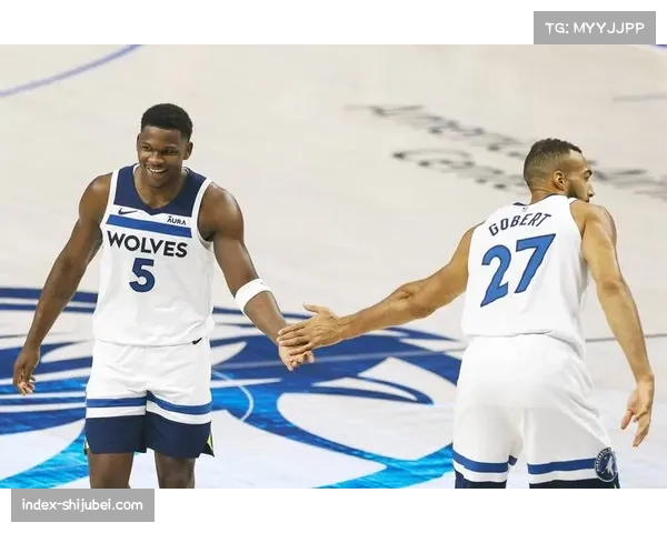 森林狼爱德华兹率队防守效率联盟第六 狼队靠坚实防守弥补进攻起伏